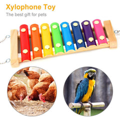 Colorful Wooden Bird Toys for Parrots and Parakeets Fun Training Game