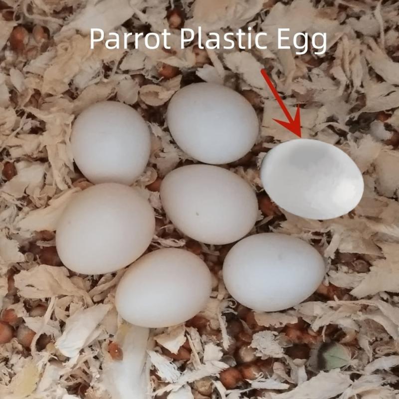 6pcs Solid Parrot Plastic Eggs Bird Hatching Eggs Trick Birds Stop Laying Eggs