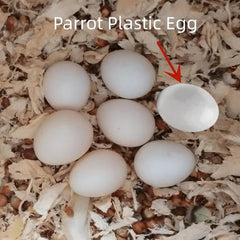 6pcs Solid Parrot Plastic Eggs Bird Hatching Eggs Trick Birds Stop Laying Eggs