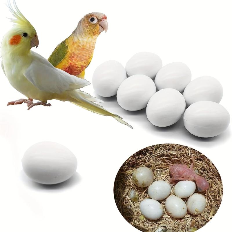 6pcs Solid Parrot Plastic Eggs Bird Hatching Eggs Trick Birds Stop Laying Eggs