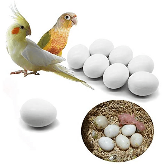6pcs Solid Parrot Plastic Eggs Bird Hatching Eggs Trick Birds Stop Laying Eggs