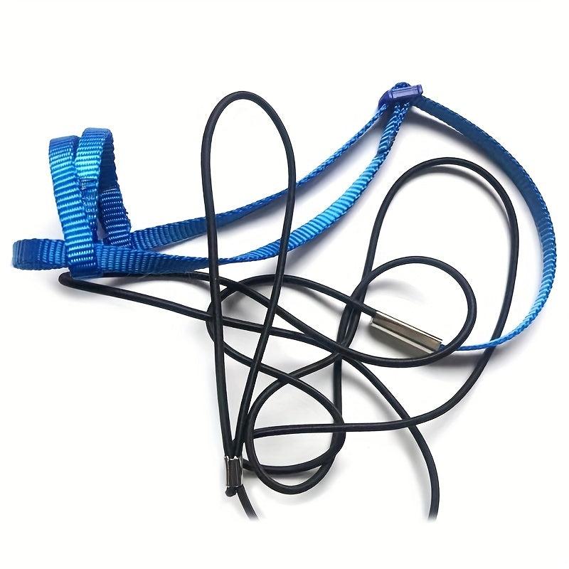 Parrot Bird Harness With Leash for Outdoor Flying Training