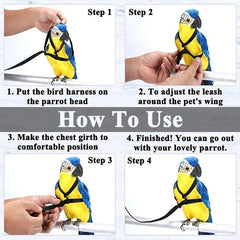 Parrot Bird Harness With Leash for Outdoor Flying Training