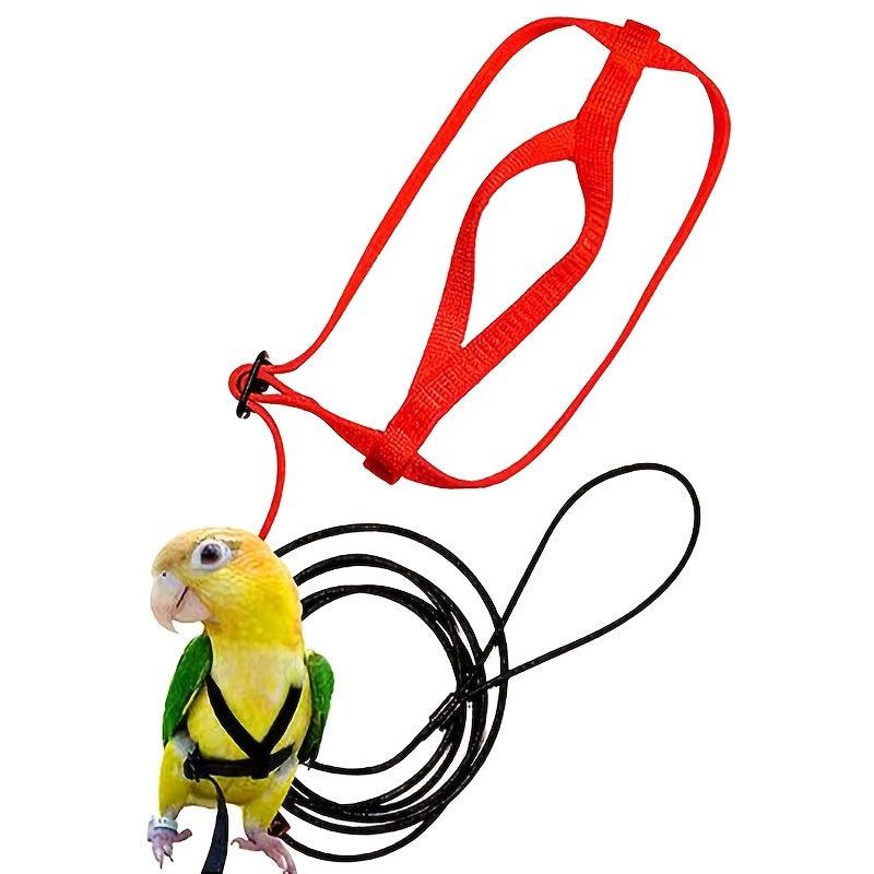 Parrot Bird Harness With Leash for Outdoor Flying Training
