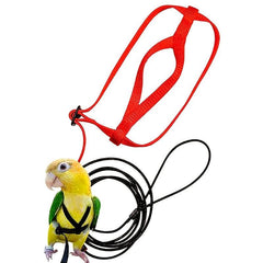 Parrot Bird Harness With Leash for Outdoor Flying Training