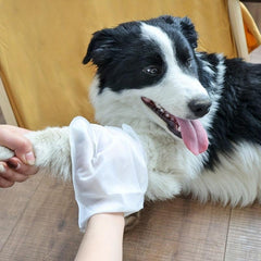 6pcs Pet Cleaning Gloves For Dog And Cat - Deodorizing Wipes