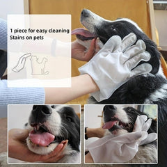 6pcs Pet Cleaning Gloves For Dog And Cat - Deodorizing Wipes