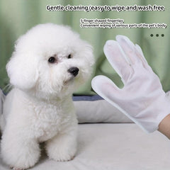 6pcs Pet Cleaning Gloves For Dog And Cat - Deodorizing Wipes