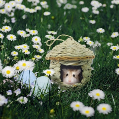 2pcs Handwoven Straw Bird Nest House for Outdoor Birds