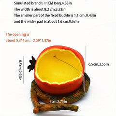 Parrot Feeding Bowl for Healthy & Happy Birds