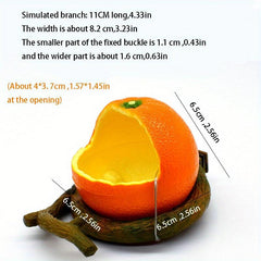 Parrot Feeding Bowl for Healthy & Happy Birds