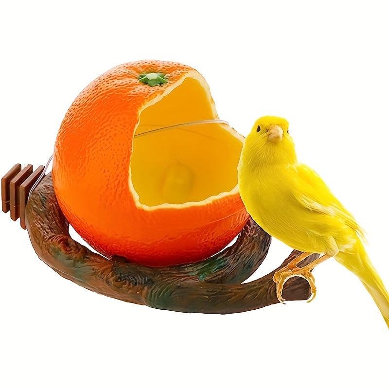 Parrot Feeding Bowl for Healthy & Happy Birds