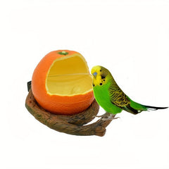 Parrot Feeding Bowl for Healthy & Happy Birds