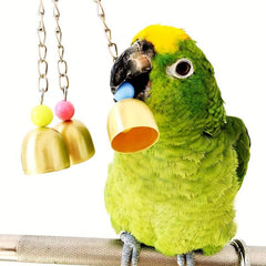 Colorful Parrot Cage Toy for Endless Fun