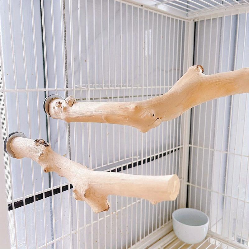Natural Parrot Perch Bird Station Tree Stick Paw Grinding Climbing Branch Toy