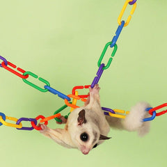100pcs Random Bird C Clips Hooks Toys for Rat and Parrot Toys
