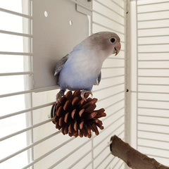 Pine Cone Bird Chewing Toy Hanging Tearing Toy For Parakeet Cockatiel