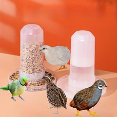 Rutin Chicken Feeder & Waterer Automatic Parrot Feeder