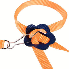 Adjustable Colorful Parrot Harness With Leash for Small Pets