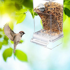 Automatic Parrot Feeder Acrylic Seed Food Container