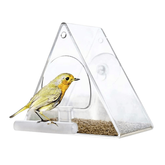 Acrylic Window Bird Feeder with Suction Cup