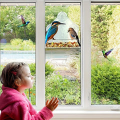 Large Hanging Bird Feeder with Suction Cups and Removable Tray