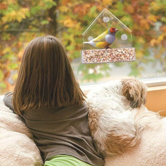 Large Hanging Bird Feeder with Suction Cups and Removable Tray