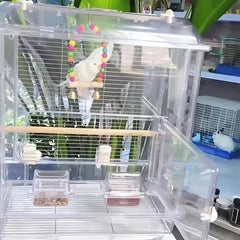 Colorful Beads Bird Stand Perch Parrot Swing Toy With Bells