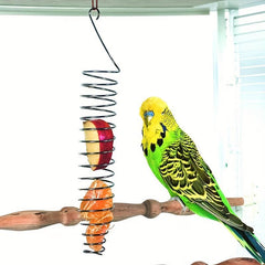 Stainless Steel Bird Feeder for Parakeets and Parrots