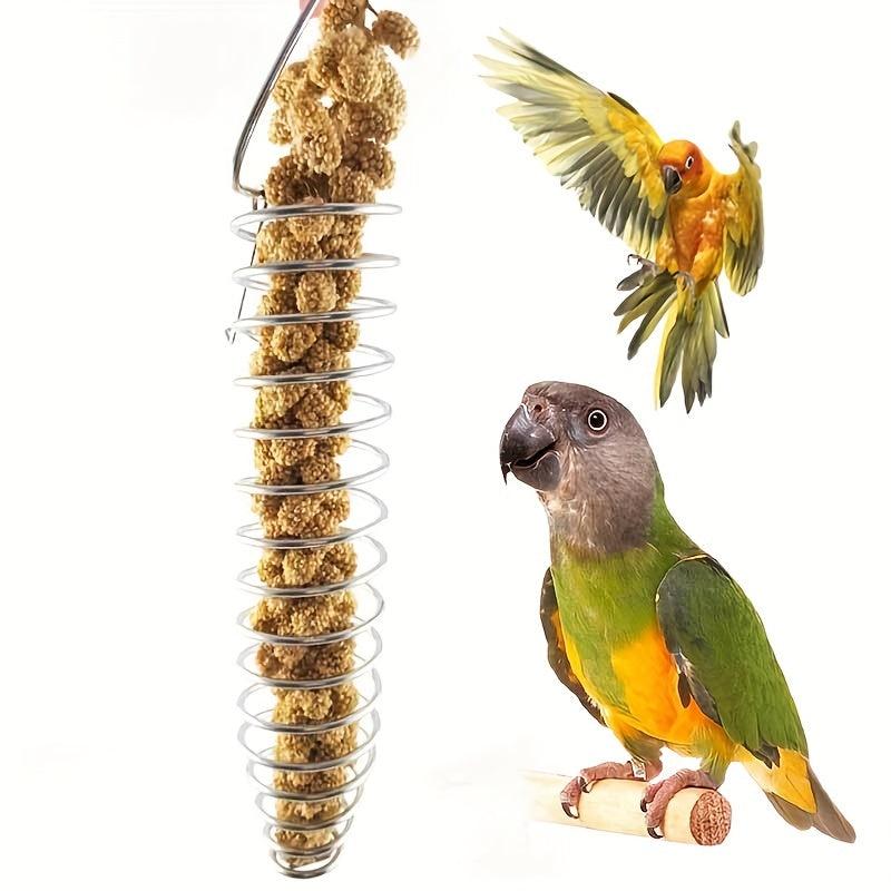 Stainless Steel Bird Feeder for Parakeets and Parrots