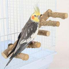 Natural Wood Ladder Bird Toy for Parrot Fun & Exercise