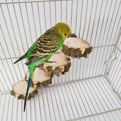 Wood Bird Climbing Ladder Parrot Biting Toy