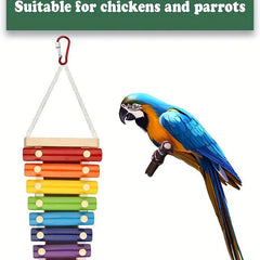 Fun and Durable Toys for Your Pet Parrot