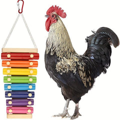 Fun and Durable Toys for Your Pet Parrot