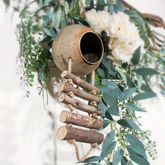 Coconut Hideaway Ladder Toy for Hamster Bird Cage