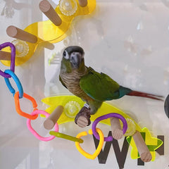 Colorful Geometric Chain Buckles Parrot Chewing Toys Bird Cage Accessories