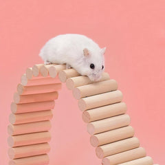 Wooden Hamster Climbing Ladder Toy for Small Animals