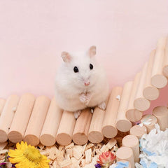 Wooden Hamster Climbing Ladder Toy for Small Animals