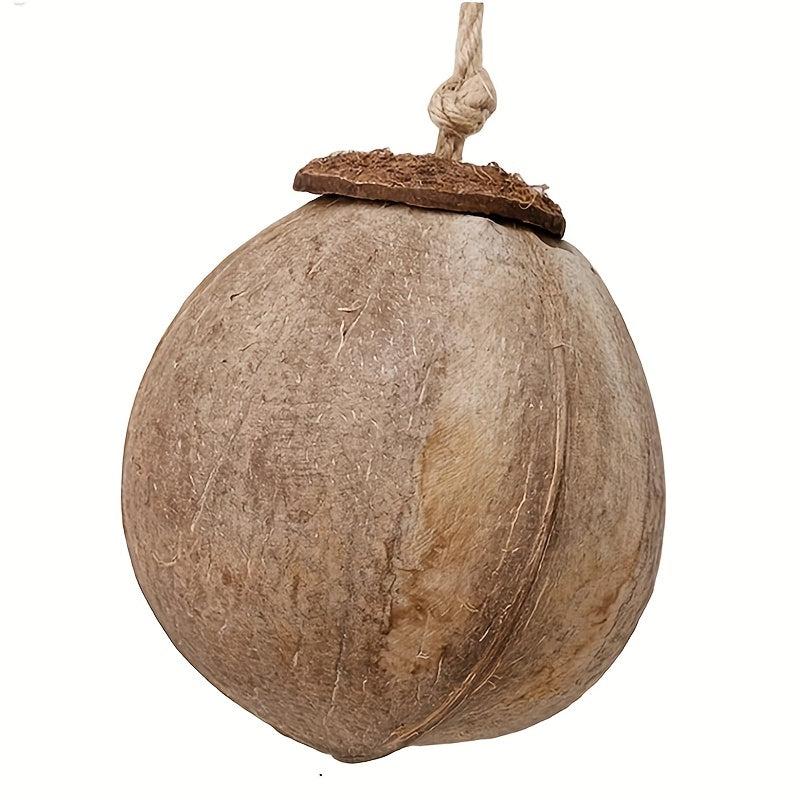 Coconut Shell Bird Nest With Ladder