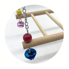 Wooden Swing Toy for Chickens and Parrots - Fun and Durable