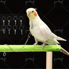 3pcs Bird Chains w/ Pendant Cockatiel Budgerigar Bird Chain For Walking/Flying