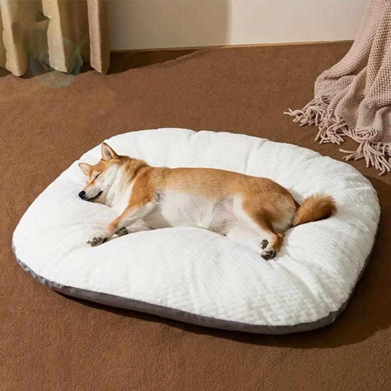Plush Thickened Winter Warm Dog Mat