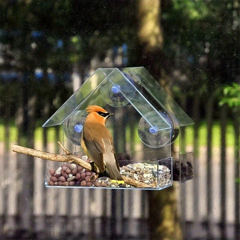 Clear Acrylic Window Bird Feeder Easy to Install