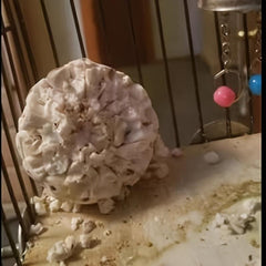 Natural Straw Ball Parrot Shredding Toy for Bird Teeth Grinding