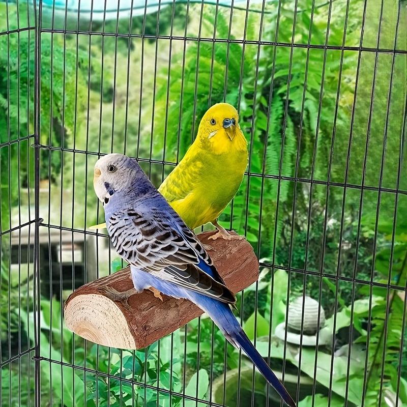 Wooden Parrot Stand Swing Bird Toy