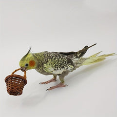 Fun Rattan Bird Toy for Pets - Perfect Chew Toy for Birds