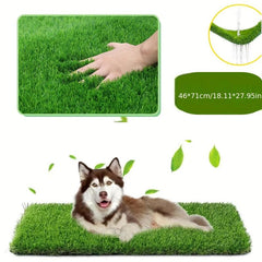Washable Dog Training Mat for Easy Potty Training