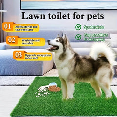 Washable Dog Training Mat for Easy Potty Training