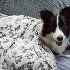 Pet Blanket Dog Cat Paw Print Blanket For Bed Cover Couch