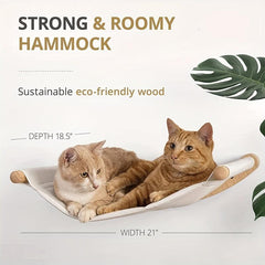 Cat Shelf: Cozy Wall-Mounted Bed for Sleep and Play